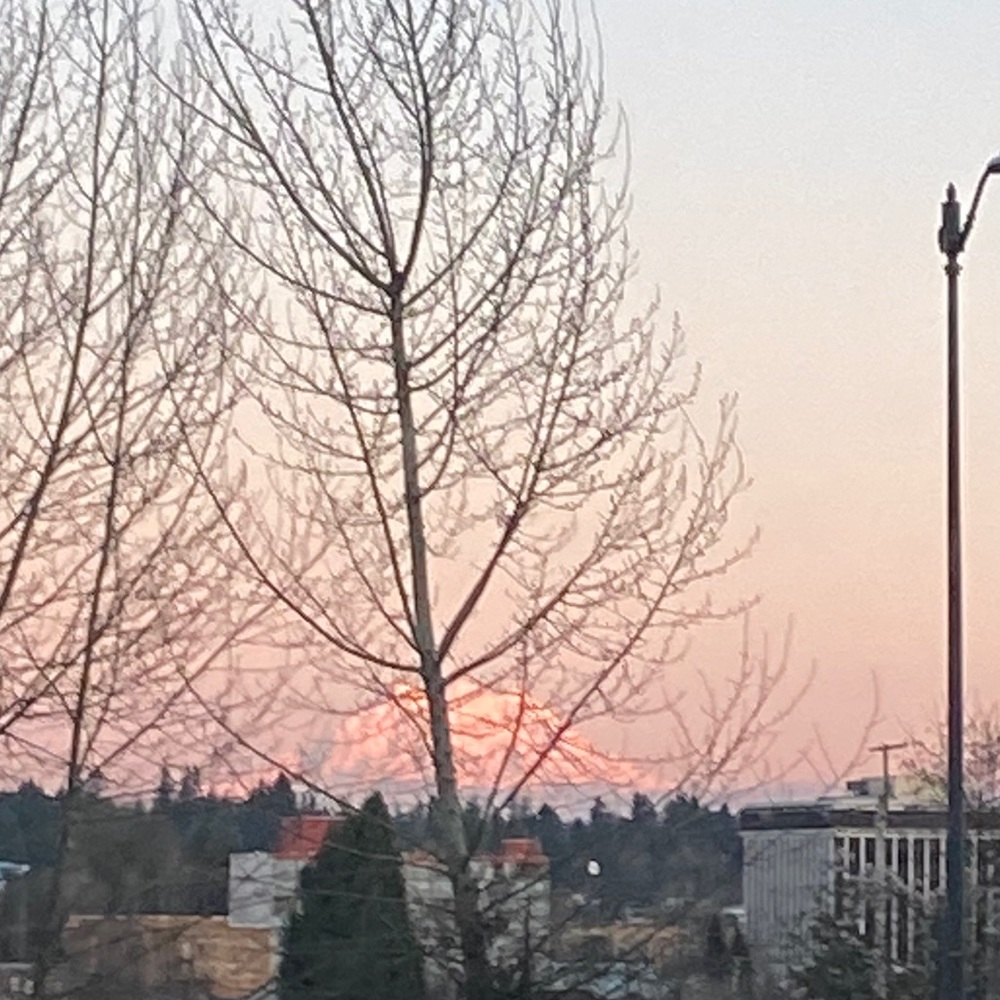 Meet your Posher, Naitasha